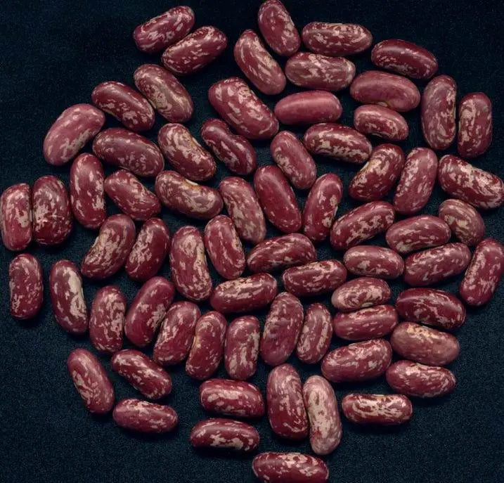 Pure Kashmiri Chitra Kidney Beans 400 gm Kashmir Exotics