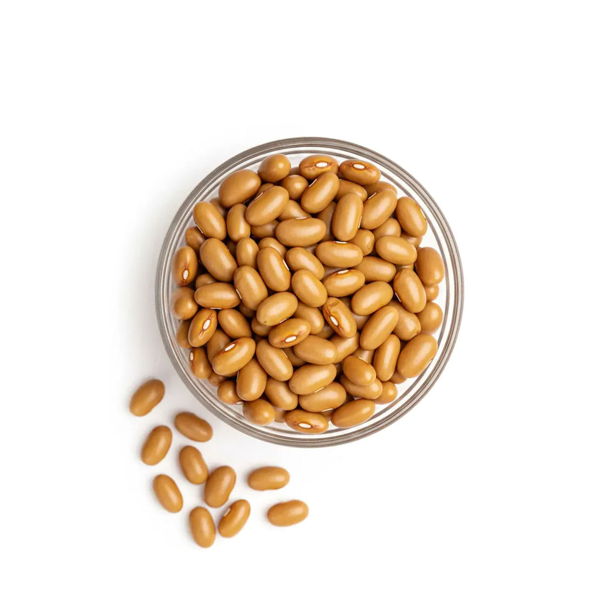 Kashmiri Yellow Rajma Beans
