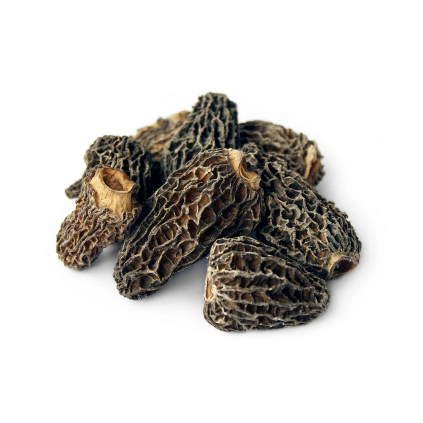 Organic Morel Mushrooms (Kashmiri Gucchi) 25gm Kashmir Exotics