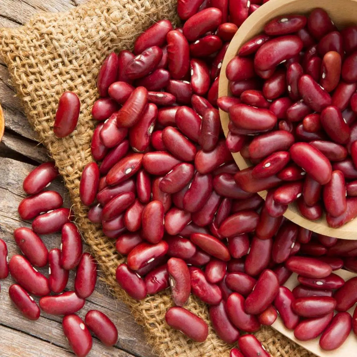 Pure Kashmiri Red Kidney Beans (Rajma) 400 gm Kashmir Exotics