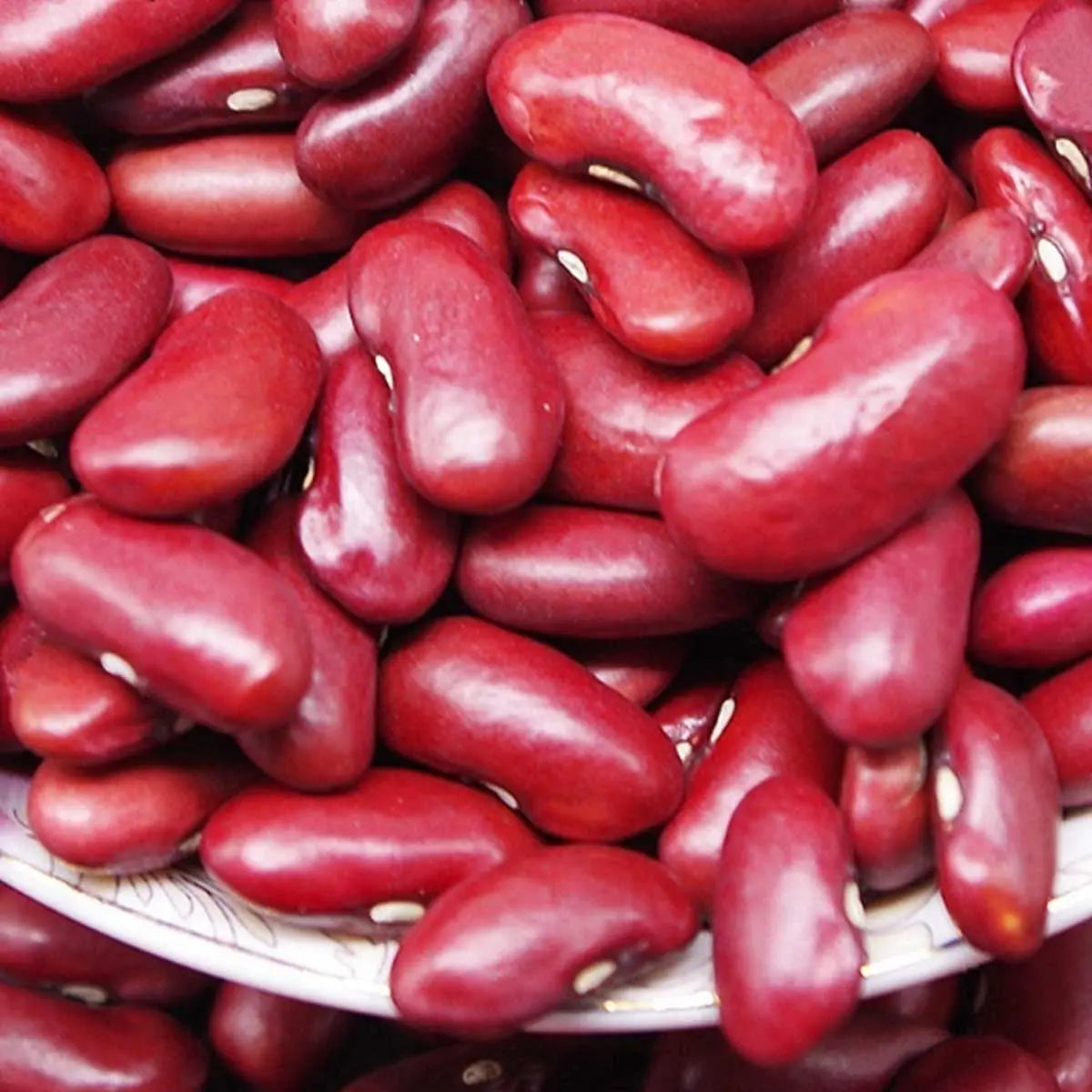 Pure Kashmiri Red Kidney Beans (Rajma) 400 gm Kashmir Exotics