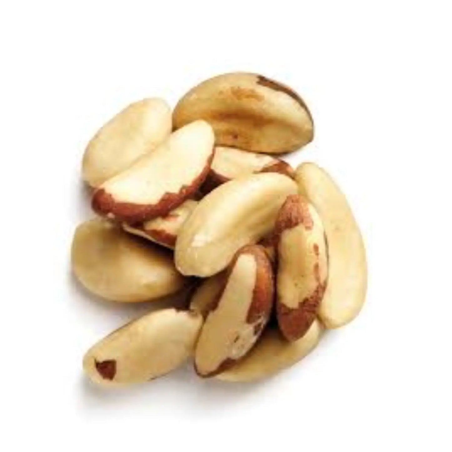 Premium Brazil Nuts 100gm Kashmir Exotics