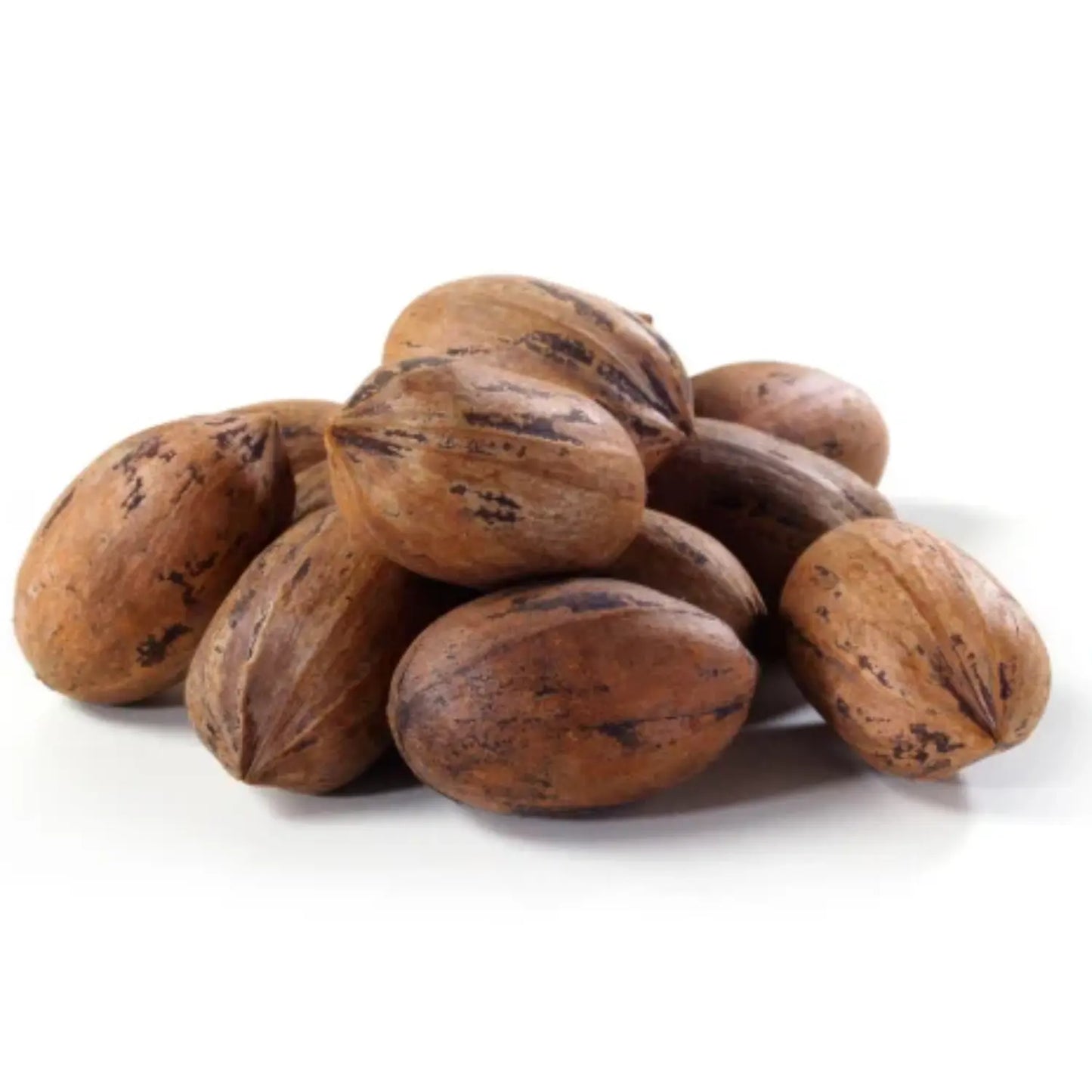 Premium Pecan Nuts with shell 250gm Kashmir Exotics
