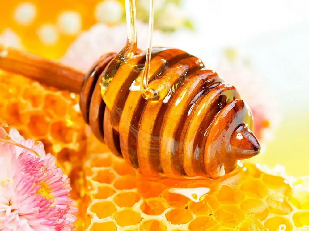 Zabar Acacia Honey 500gm
