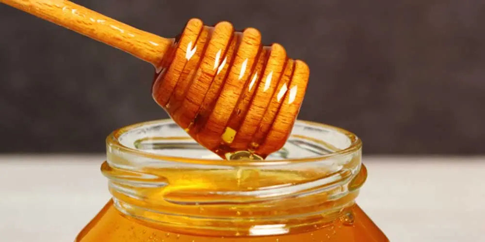 Zabar Acacia Honey 500gm