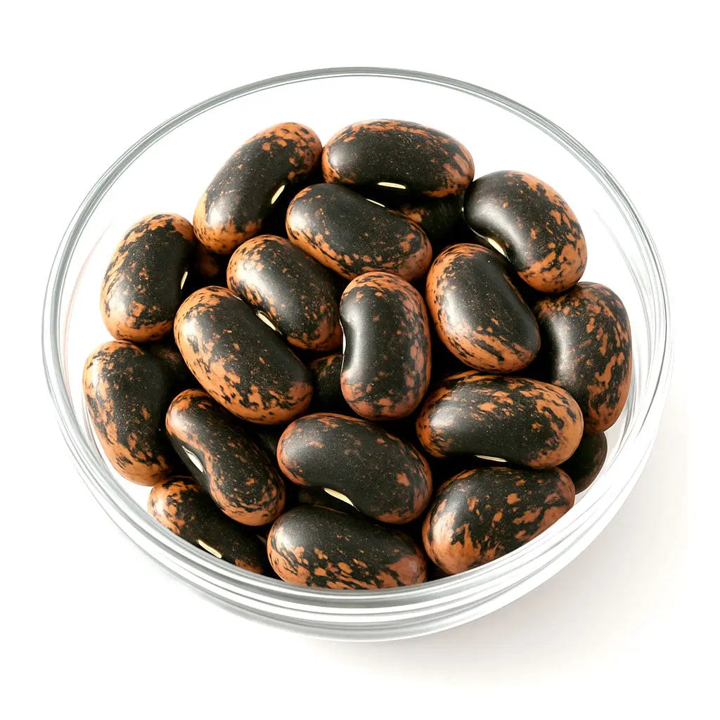 Kashmiri Scarlet Runner Beans 400gm Kashmir Exotics