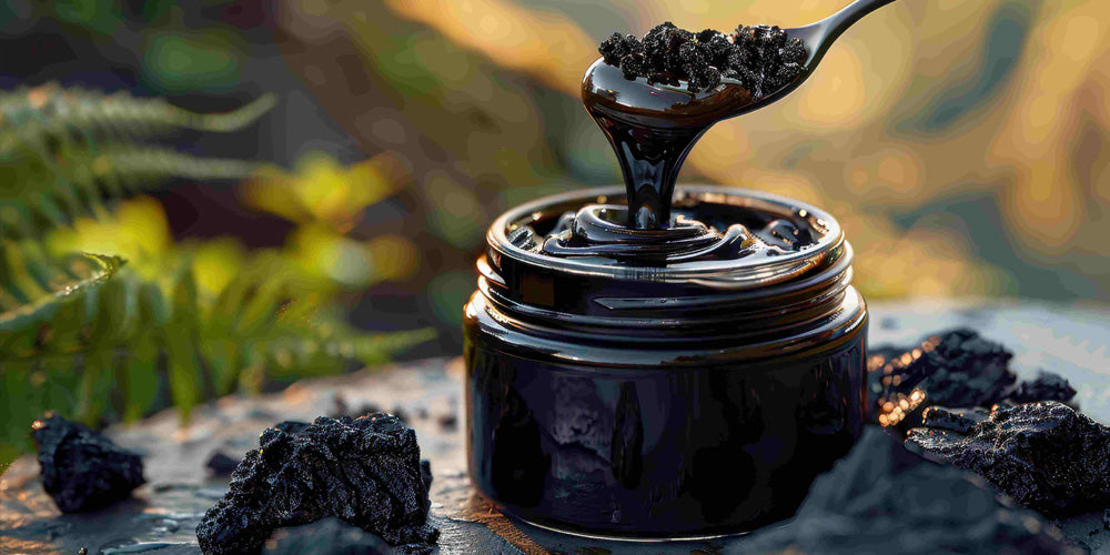 Understanding Shilajit: What It Is and Its Health Benefits