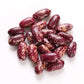 Pure Kashmiri Chitra Kidney Beans 400 gm Kashmir Exotics