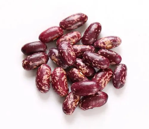 Pure Kashmiri Chitra Kidney Beans 400 gm Kashmir Exotics