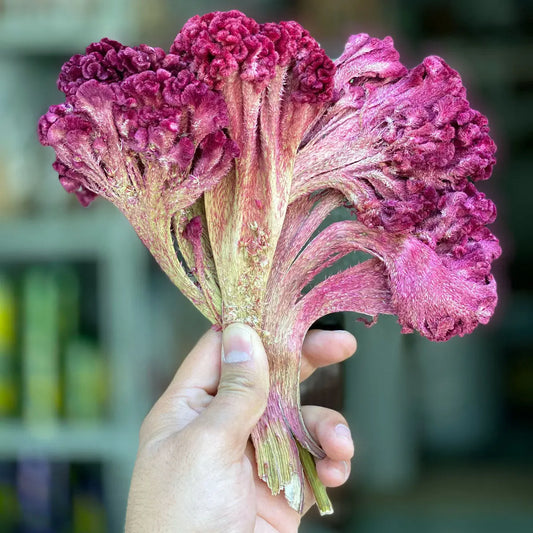 Pure Kashmiri Cockscomb Flower 100gm Kashmir Exotics