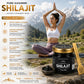 Pure Kashmiri Shilajit Semi Solid (50 g)