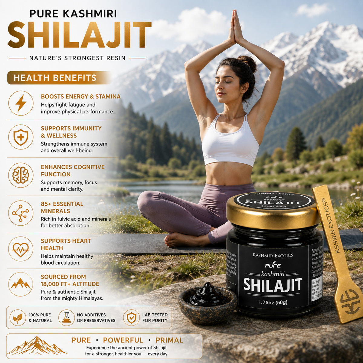 Pure Kashmiri Shilajit Semi Solid (50 g)