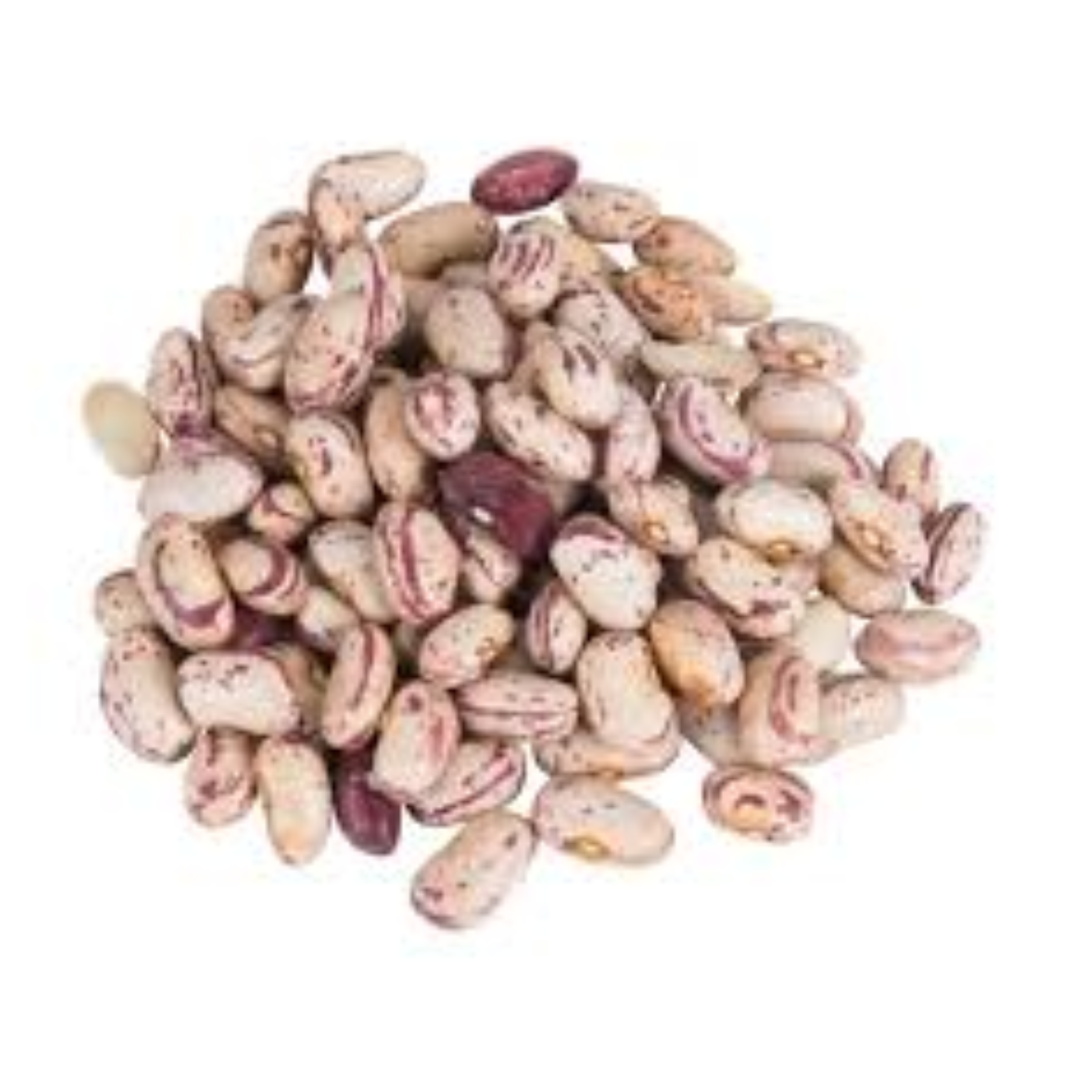 Kashmiri Cranberry Beans (Thoole Rajma) 400gm Kashmir Exotics
