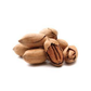 Premium Roasted Pecan Nuts with Shell 250g