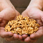 Pure Kashmiri Walnut Kernels Extra Light Half