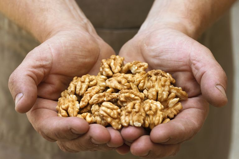 Pure Kashmiri Walnut Kernels Extra Light Half