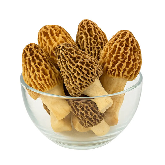 Organic Morel Mushrooms (Kashmiri Gucchi) 25gm Kashmir Exotics