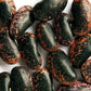Kashmiri Scarlet Runner Beans  400gm Kashmir Exotics