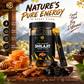 Pure Kashmiri Shilajit Honey stick Cinnamon flavour (30 sticks)