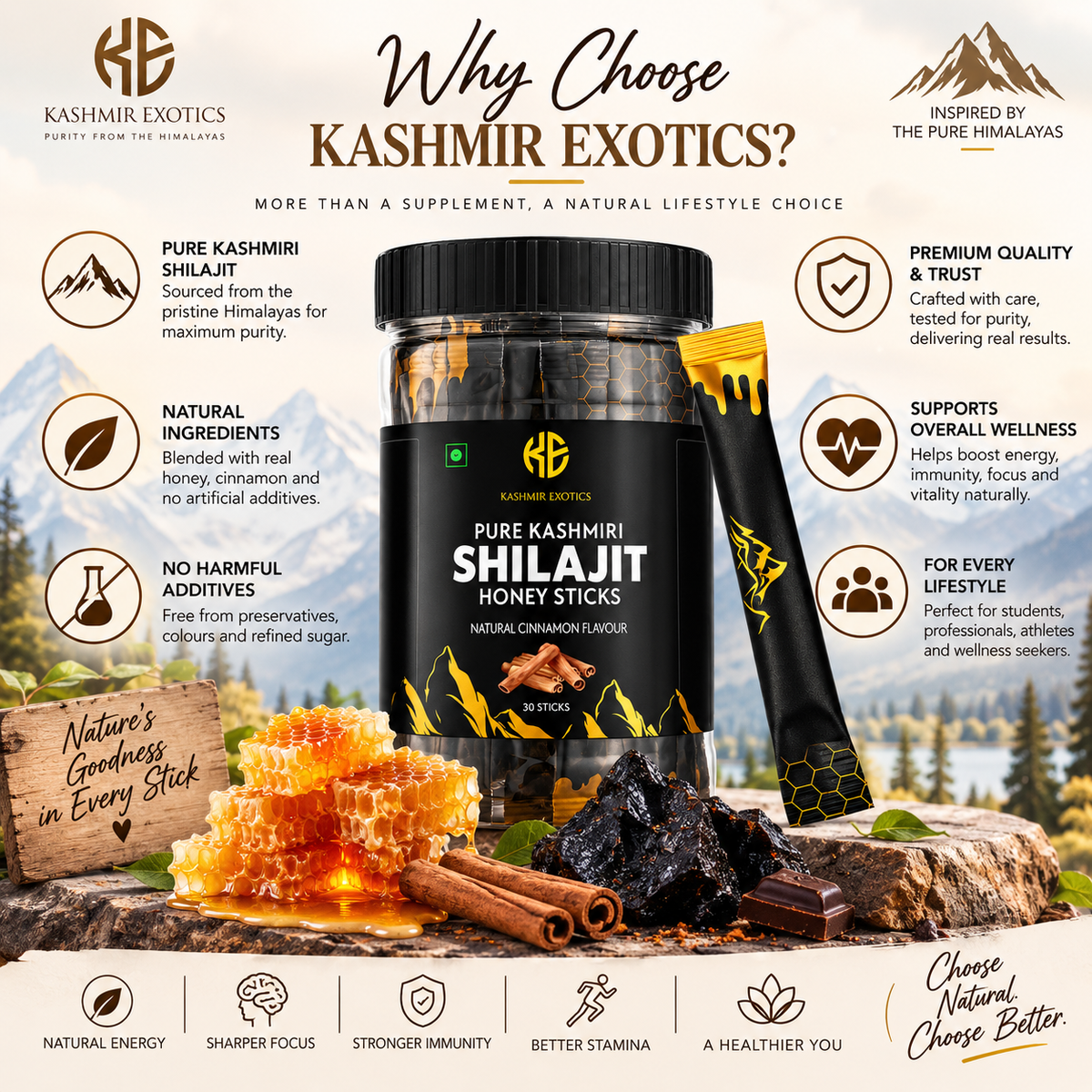 Pure Kashmiri Shilajit Honey stick Cinnamon flavour (30 sticks)