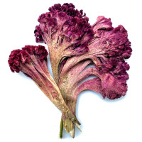 Pure Kashmiri Cockscomb Flower 100gms